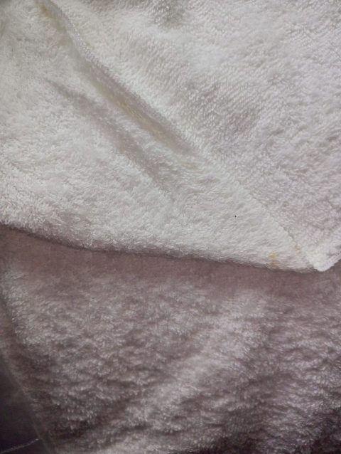 Cotton Towelling Double Sided